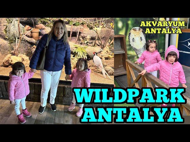 WILDPARK ANTALYA | ANTALYA AKVARYUM | ANTALYA GEZİSİ |ANTALYA'DA GEZİLECEK YERLER