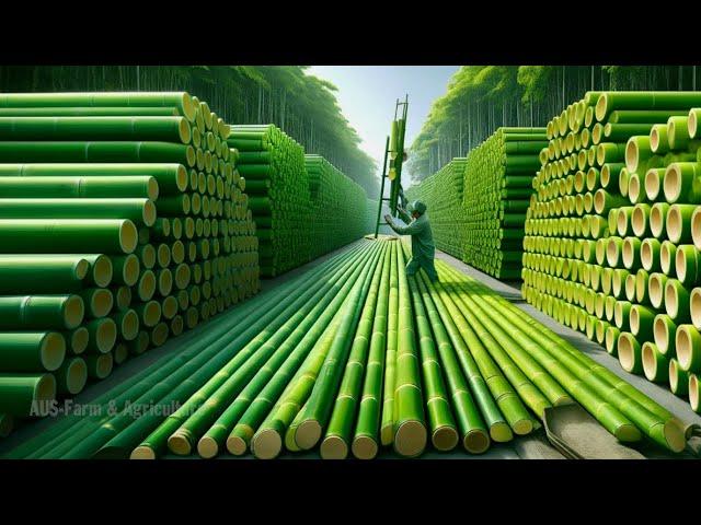 How Billions of Eco Friendly Products Are Made from Bamboo - You Won't Believe It