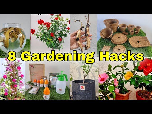 8 Gardening Hacks for all seasons | Fertilizer for plants [English cc]