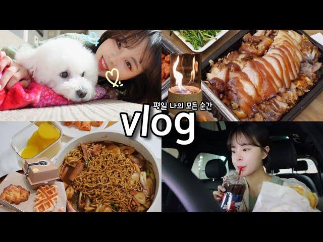 [일상vlog] 평일 내입으로 들어간 모든것들 _ 비빔밥+즉석 짜장떡볶이+한방족발+에그샌드위치+크로플+불멍+평일 간단식