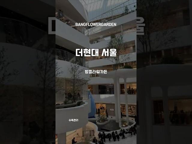  카메라 브랜드 #라이카 매장 수목관리 현장