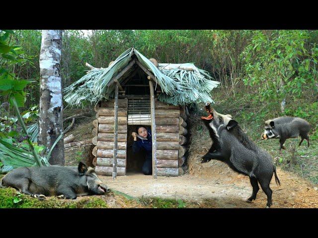 Build a warm and comfortable secret survival shelter. Bushcraft wooden house hunting wild boar