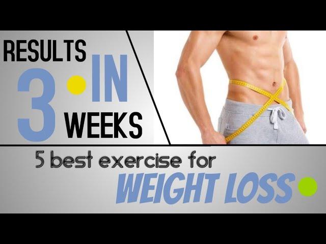 The 5 Best Exercises for Weight Loss || Loss Belly Fat In 14 Days Challenge