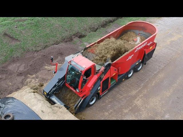 Feeding cattle with Trioliet