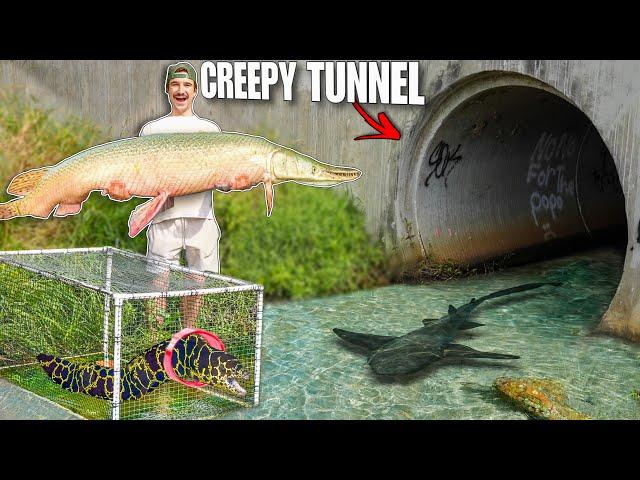 24 HOUR Tunnel Fish Trap Catches CANAL MONSTER...