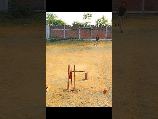 Yorker drill with tennis ball #cricket #practice #cricketshorts