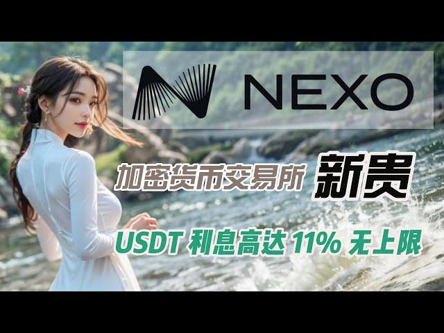 加密货币交易所新贵NEXO｜高额加密货币法币存款利息｜提供加密货币贷款服务｜USDT利息高达11%｜美元利息高达7%｜NEXO最新最全开户攻略