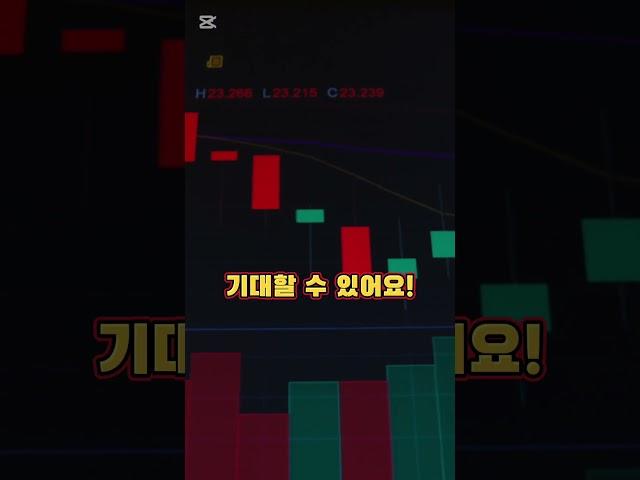성장주&가치주: 나에게 맞는 투자?