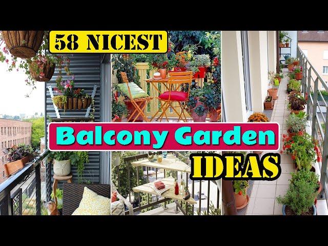58 Nicest Balcony Garden Ideas