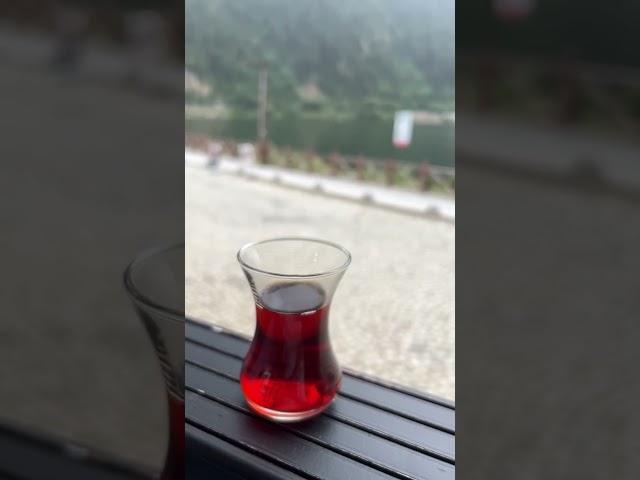 #chailover #chai #tea #teapoetry #turkishtea #shorts #viral #trending chai pe shayari