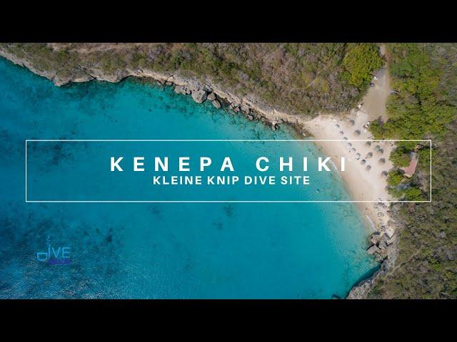 Curacao Dive Site Guide | Klein Knip | Dive Curacao Travel Vlog