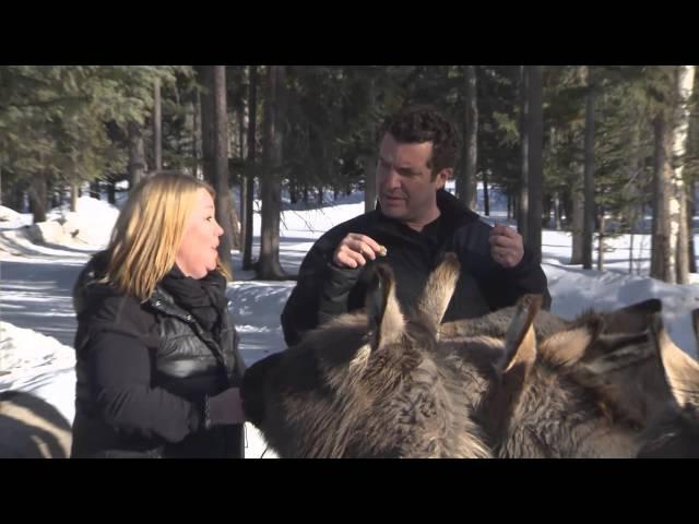 RMR: Rick and Jann Arden at the Donkey Sanctuary