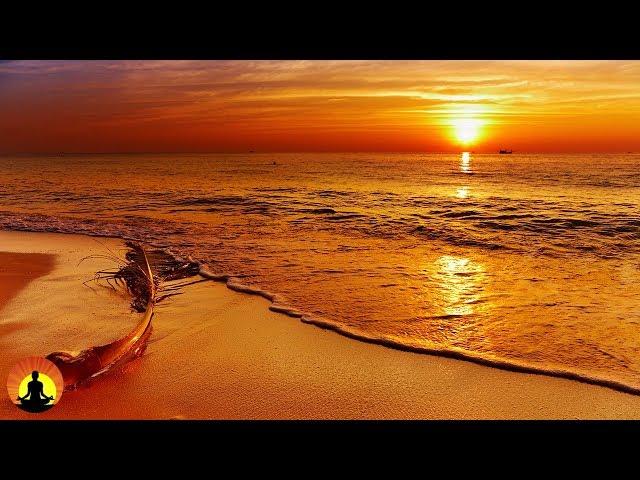 1 Hour Relaxing Sleep Music, Sleep Therapy, Deep Sleep Music, Insomnia, Spa, Study, Sleep, 101