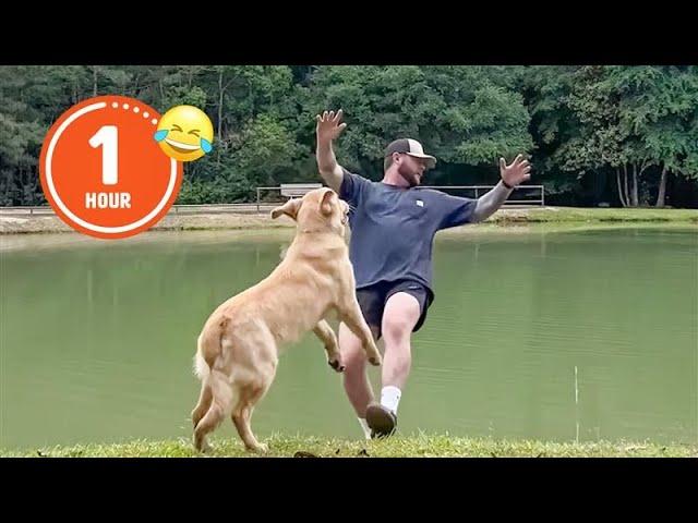 FUNNIEST Pets of 2024  | BEST Compilation