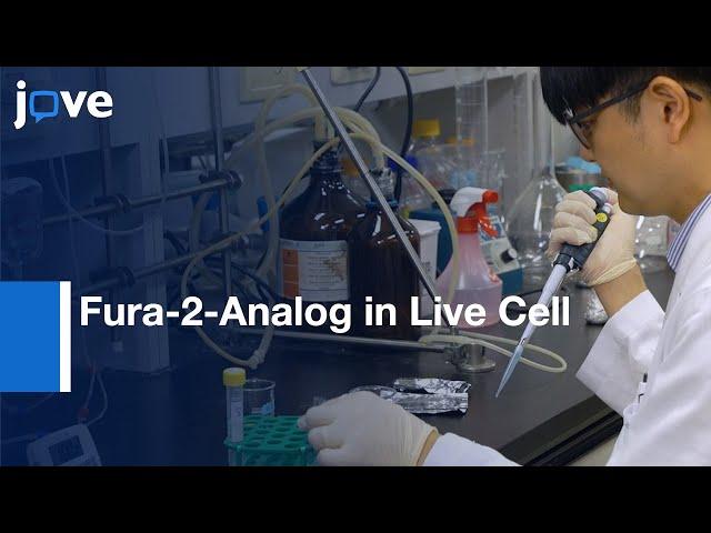 Novel Nicotinamide Adenine Dinucleotide Correction:Intracellular Ca2+ Measurement l Protocol Preview