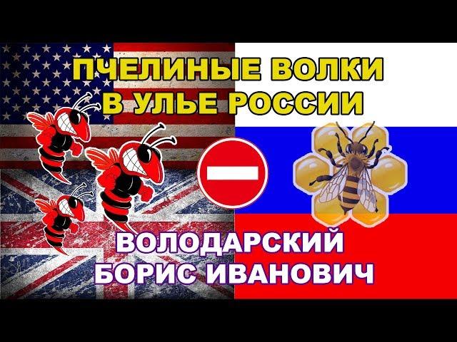 "Пчелиные волки в улье России". Пример из жизни. Алтайский старец Борис Иванович Володарский