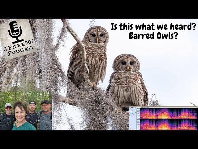 JFree906 - Bigfoot Hunt - Spectrum Analysis of the Bird Sounds