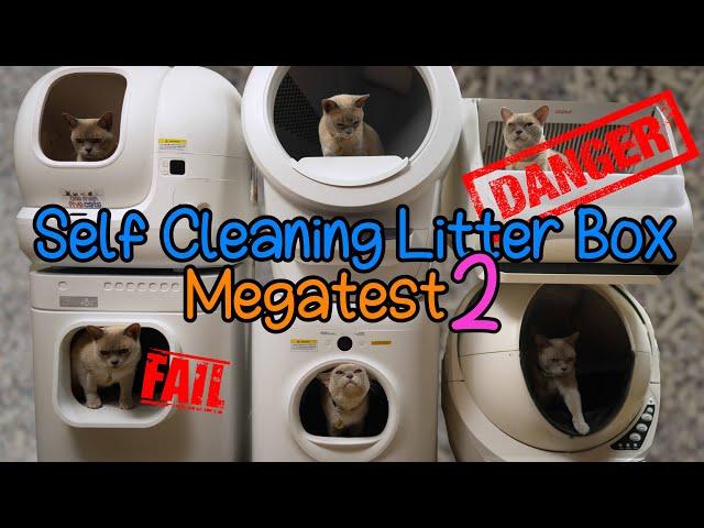 SELF CLEANING LITTER BOX Mega Test 2: Popur X5/ Lavviebot S & MORE!