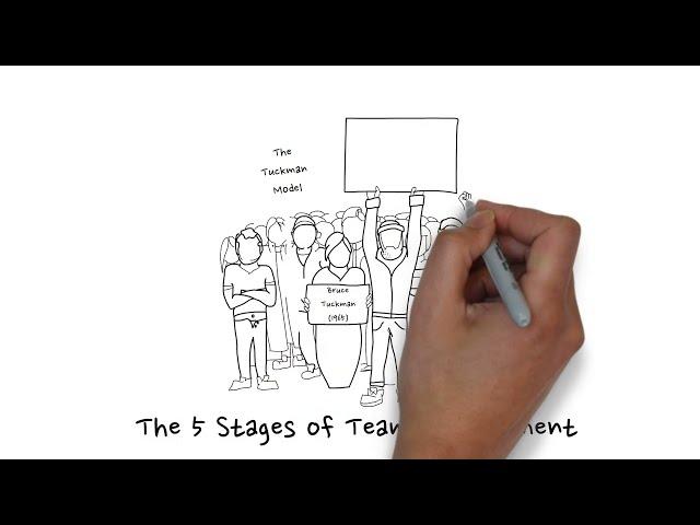 Tuckman's 5 Stages of Team Development (Forming, Storming, Norming, Performing, Re-forming)