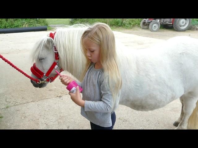 How to groom and look after your Shetland Pony Tutorial with Harlow White Age 5