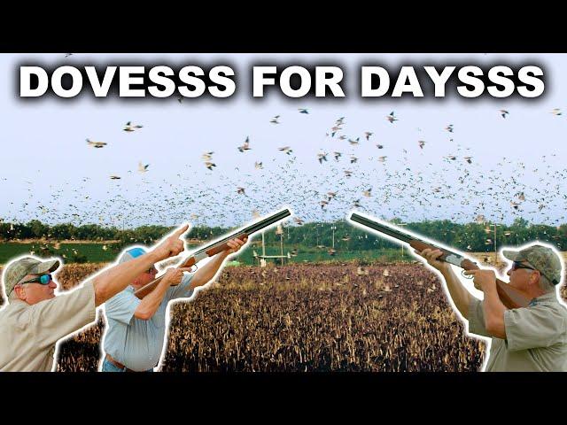 INSANE AMOUNT OF DOVES!! | South Texas Dove Hunt