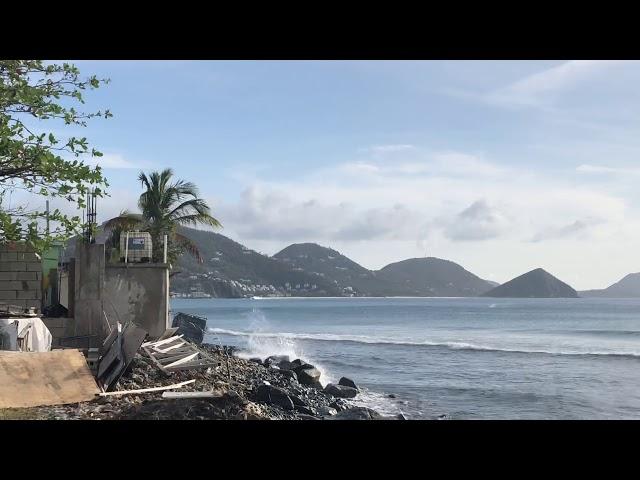 Tempo doing a fly by Carrot Bay 11/5/19