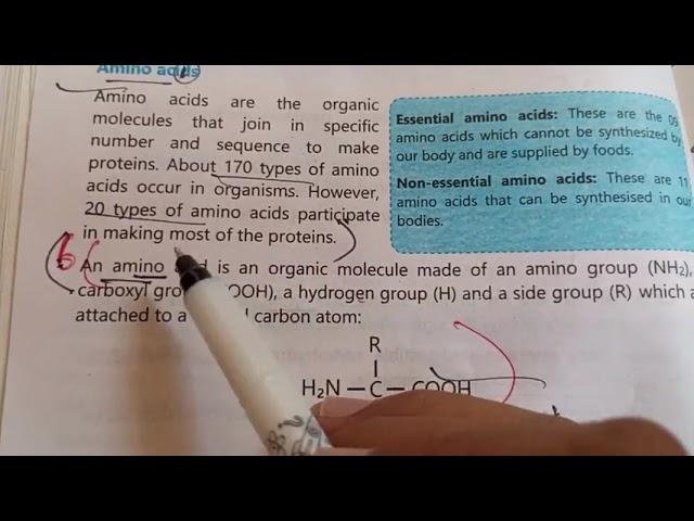 CH 6 Biomolecules Solved Exercise MCQs short and long Question|| 9 Biology