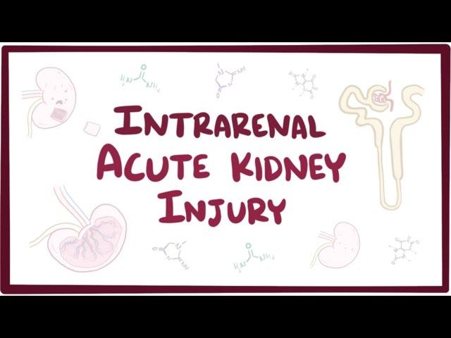 Intrarenal acute kidney injury (acute renal failure) - causes, symptoms & pathology