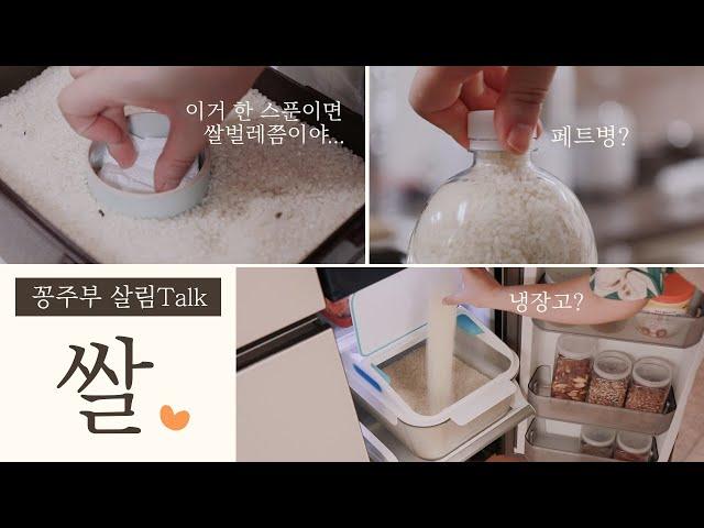 쌀벌레가 싫어하는 쌀 보관Tip/쌀 어떻게 보관하고 계시나요?! [꽁주부TV]