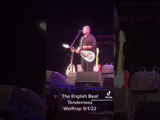 The English Beat #theenglishbeat #tenderness #concert #80’smusic #wolftrap #80’s