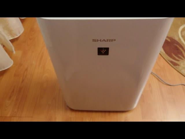 Sharp air purifier UA-HD40E-L review