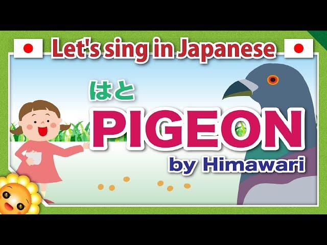 【HATO/はと/Pigeon】Japanese children's songs and nursery rhymes｜by Himawari