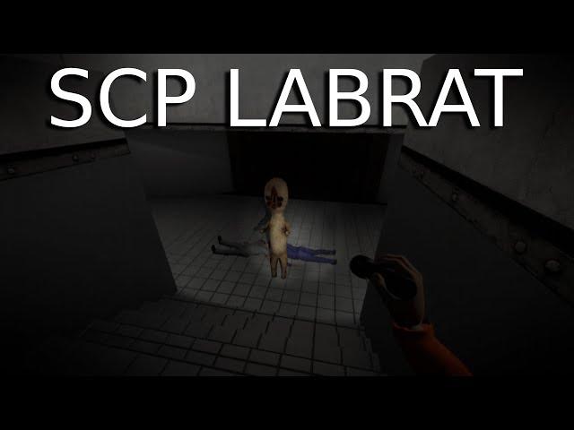 WE BLINK??? | SCP LabRat | Horror Gameplay | Coop