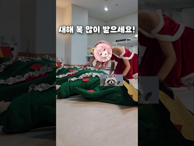 메리 새해 복 많이 해피하세요!!