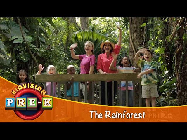 Rainforest | Virtual Field Trip | KidVision Pre-K