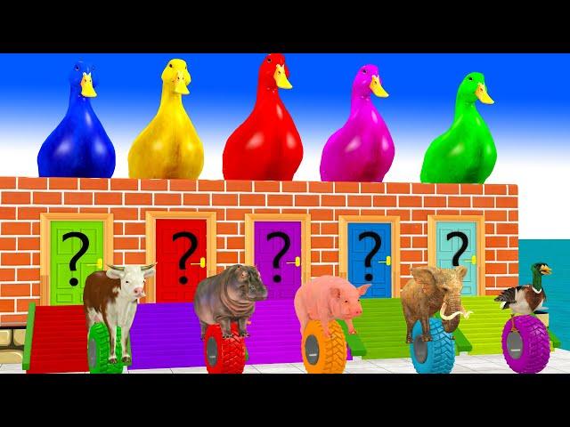 Cow Elephant Pig Hippo Duck Choose The Right Door ESCAPE ROOM CHALLENGE Animal Tire Game Video