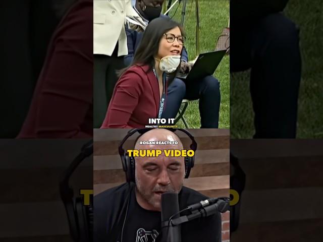 Joe Rogan Reacts to Trump VS Reporter