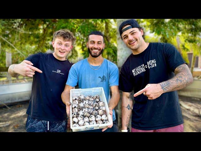 I Found 100 Baby Tortoise eggs With PAUL CUFFARO! “INSANE”