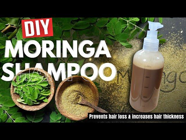 Superfood Moringa | Homemade Moringa Hair Growth Shampoo - Must Try | Sushmita's Diaries