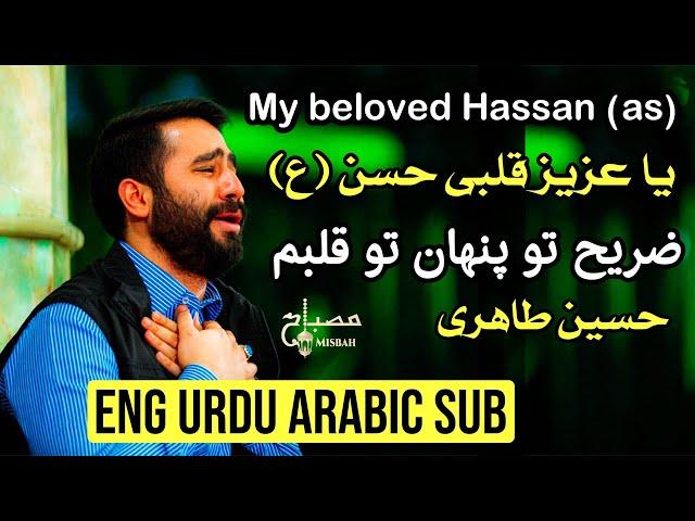 نوحه امام حسن | مداحی امام حسن | شهادت امام حسن مجتبی ۱۴۰۱ | نوحه امام حسن مجتبی | Hossein Taheri