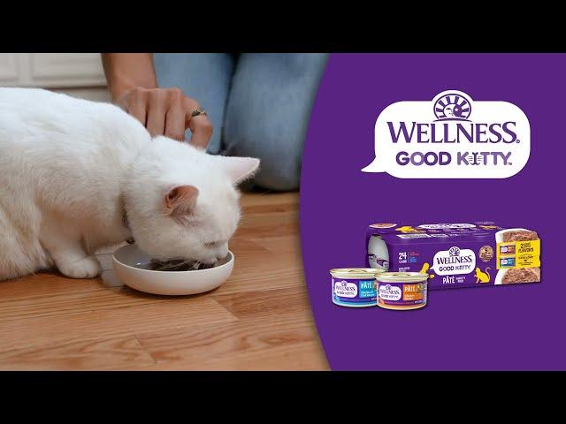 Wellness Good Kitty: Learn with Dr. Danielle