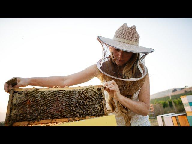 The Most Important Honey Producers of the World