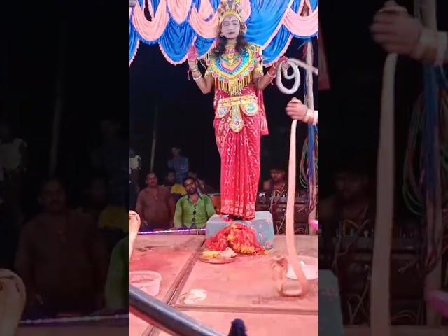 maa Manasa Jatra video