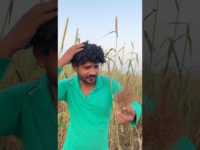 https://youtube.com/shorts/A8SS20tFRLo?feature=share