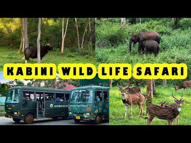 Kakanakote Wildlife Safari | Nagarahole Tiger Reserve | Kabini | Kannada Vlog