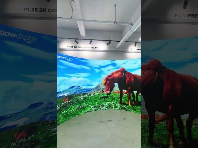 GOB P1.25 Curved LED Screen #led #ledpanelrepair #screen #creative #leddisplay #ledtv #tech