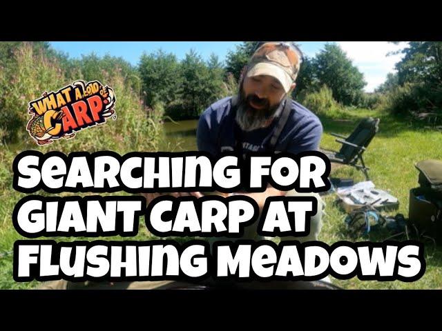 SEARCHING FOR GIANT CARP AT FLUSHING MEADOWS FISHERIES