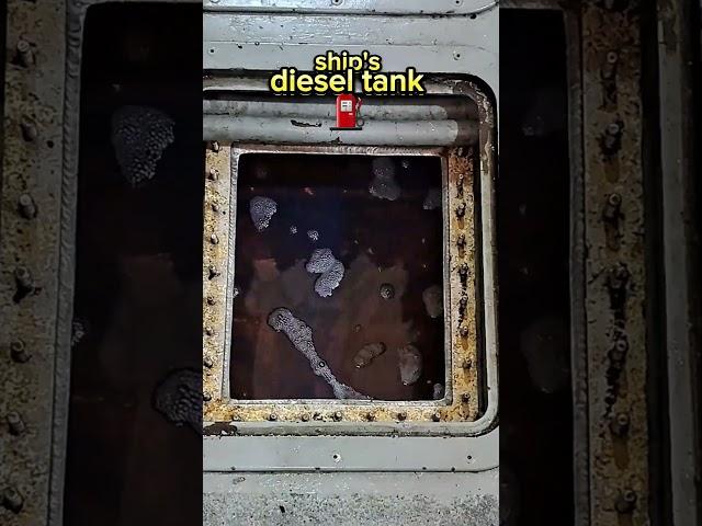 the large diesel tank of a ship's #mechanics #boat #youtube #youtubeshorts #shots #short #share