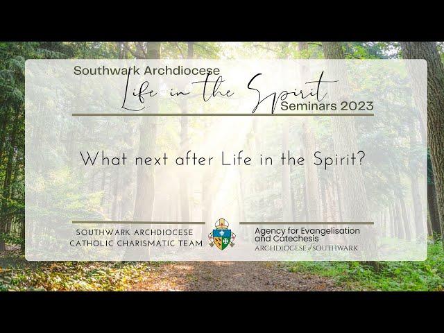 What Comes Next After Life in the Spirit Seminars?