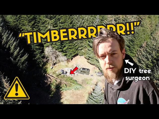 Felling Trees & Dirty Knees | Back on The Land With Friends